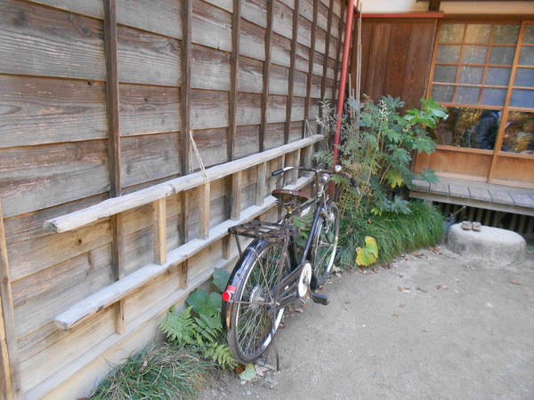 DSCN3086.JPG