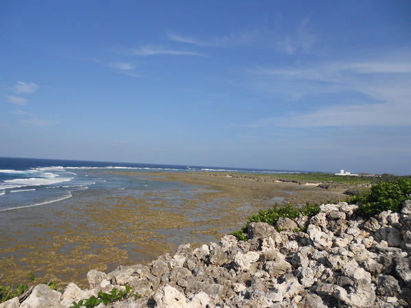 DSCN4403.JPG