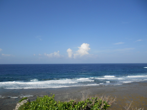 DSCN4405.JPG