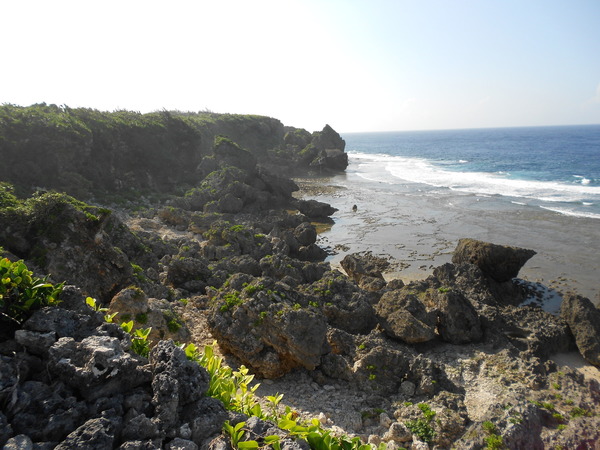 DSCN4407.JPG