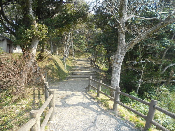 DSCN5468.JPG