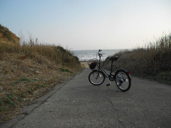 DSCN6950.JPG