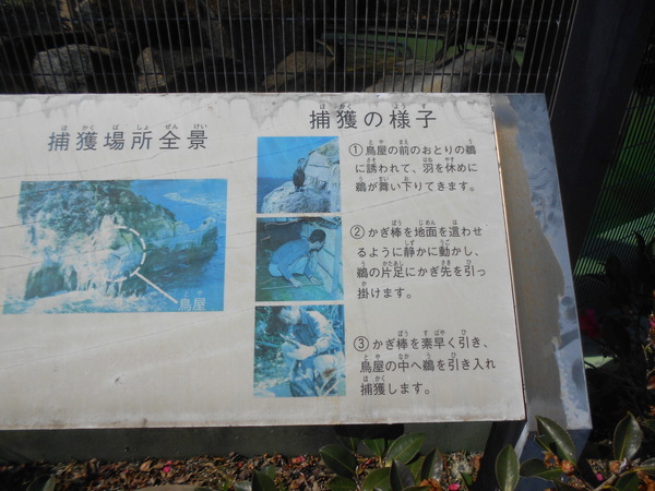 DSCN9092.JPG